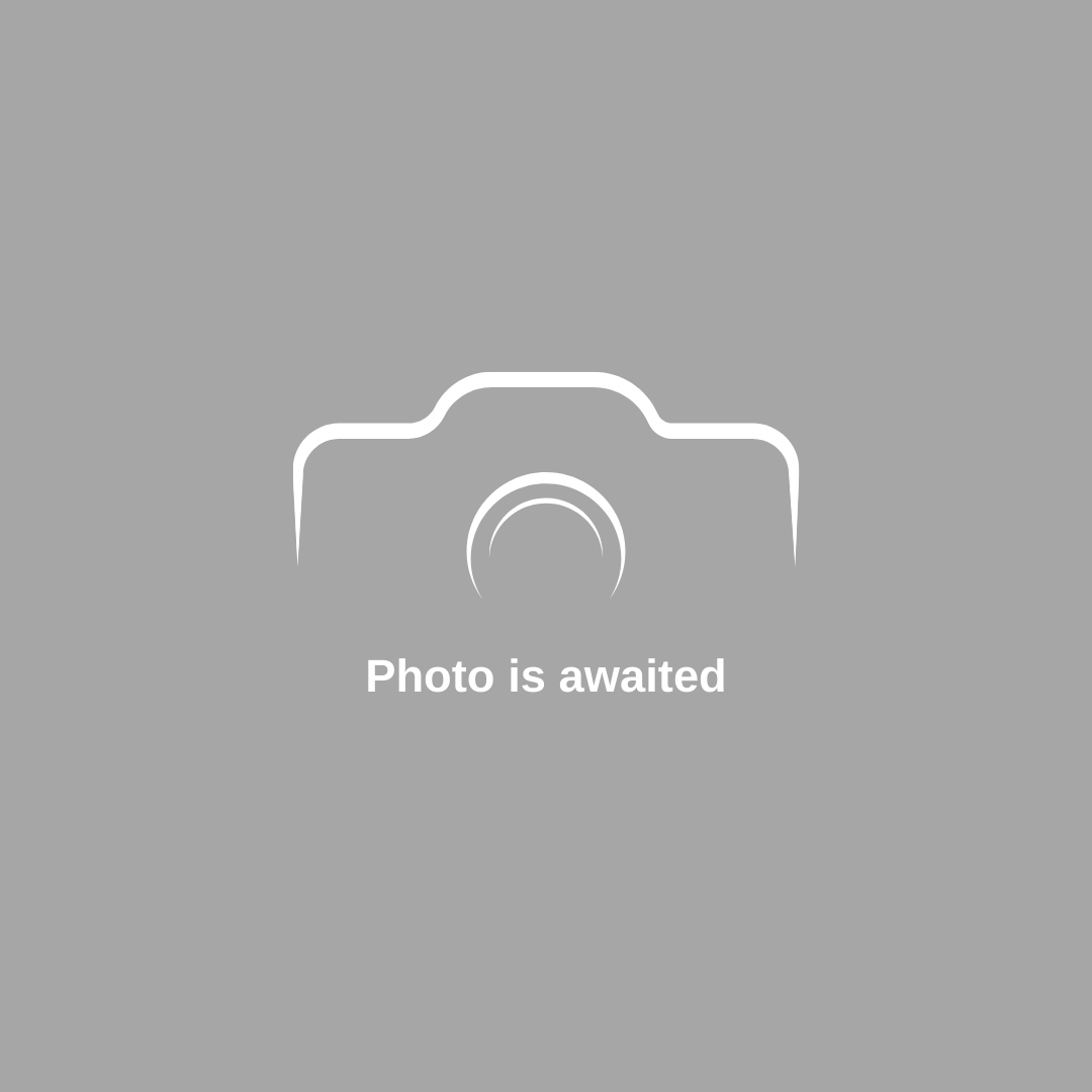 Bonart Ahşap Desenli Astar